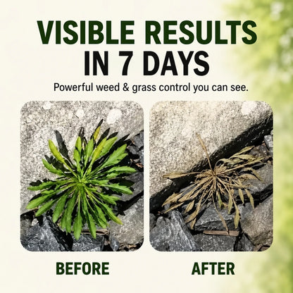 Fast-Acting NaturalHerbicide Spray-UP